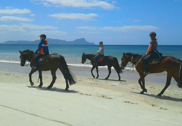One-Hour Beach & Bush Horse Trek for One Person - Options for Two People & Two-Hour Horse Treks