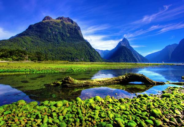 Seven-Night New Zealand Cruise for Two People in an Interior Room incl. All Main Meals & Entertainment - Options for a Porthole, Window or Balcony Room