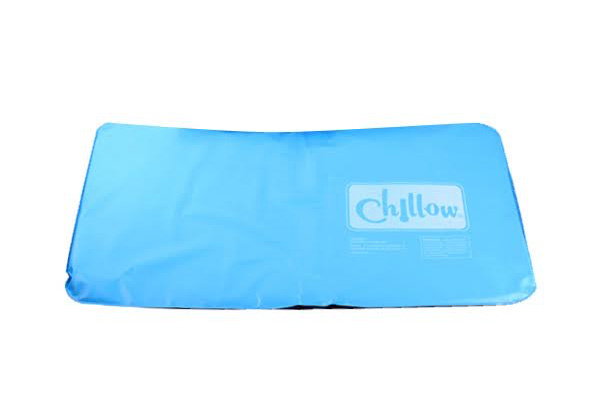 Chilling Pillow