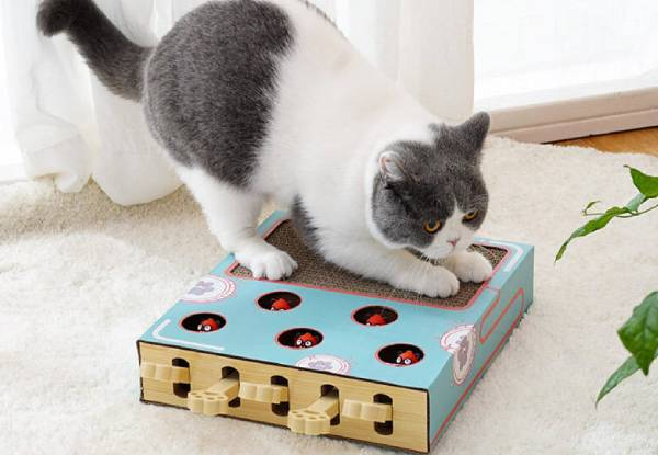 Cat Whack-a-Mole Toy