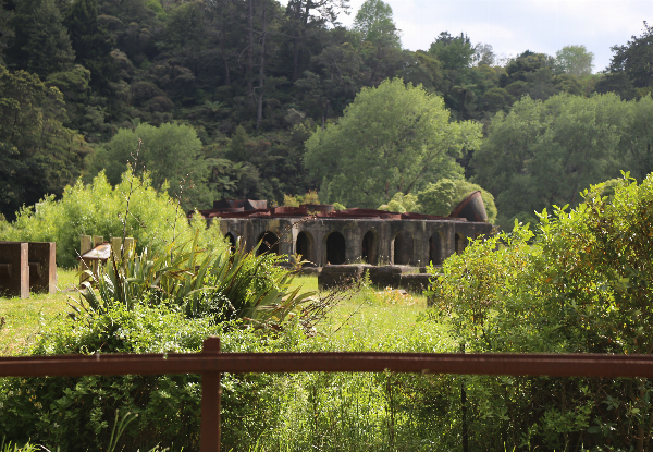 The Hauraki Rail Trail Bike Package incl. Full Day E-Bike Hire, Pannier, Helmet & Shuttle for  For Two People