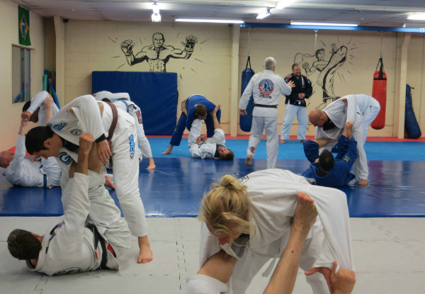 Four Martial Arts Classes