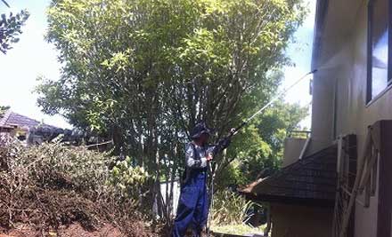 From $249 for Gutter Cleaning & Full House Washing incl. Moss & Mould Treatment for a Two or Three-Bedroom House – Options for One & Two Storey Homes (value up to $700)