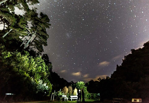 Two-Hour Zealandia by Day Guided Tour for One Adult or 2.5-Hour Zealandia by Night Guided Tour - Child Option Available