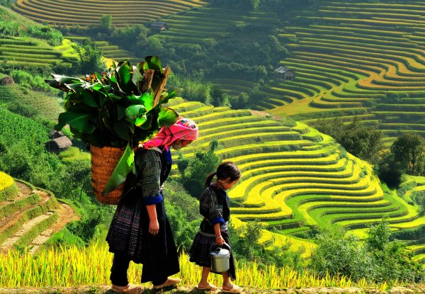 Per-Person, Twin-Share Seven-Day North Vietnam Tour incl. Three-Star Accommodation, Guides, Meals as Indicated, Transfers & More - Option for Four-Star Accommodation