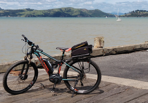 Half-Day Electric Bike Hire in the Beautiful Coromandel