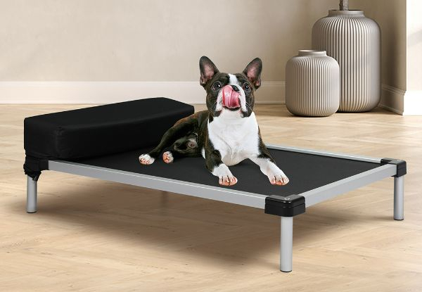 PaWz Raised Heavy Pillow Elevated Pet Trampoline Bed - Available in Two Colours & Three Sizes