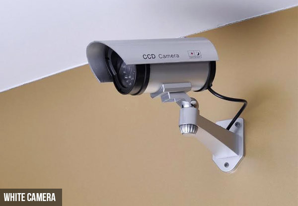 Dummy Security Cameras with Blinking Red Light - Two Types Available