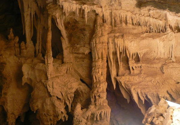 Family Guided Tour of Ngarua Caves featuring Skeletal Remains of Extinct Moa