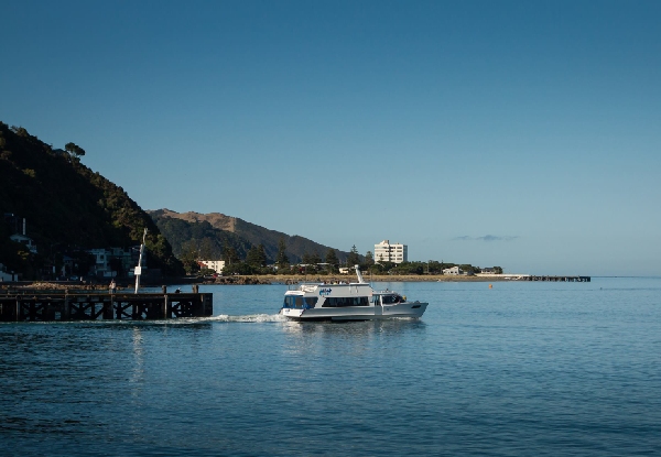 Return Ferry Adult Ticket to Days Bay, Matiu Somes Island or Seatoun - Option for Days Bay & Matiu Somes Island Stopover, & for Child Ticket
