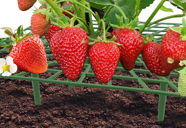 Three-Piece Plastic Strawberry Support Growing Rack