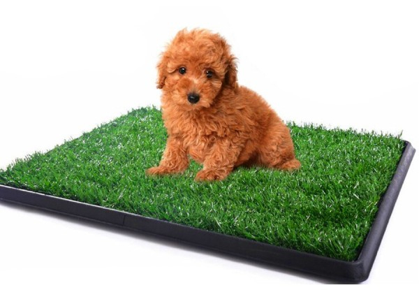 Artificial Lawn Toilet Pad for Pets