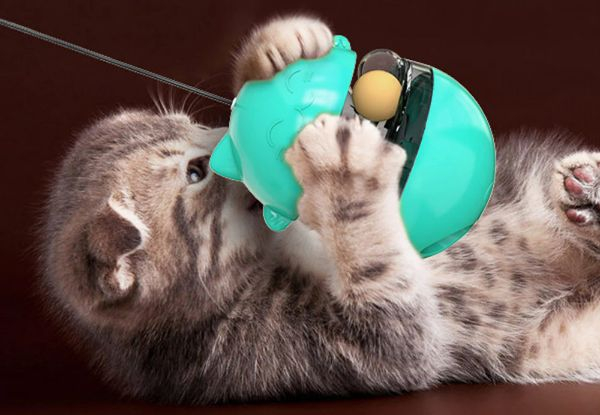 Cat Interactive Ball Tumbler Toy - Three Colours Available