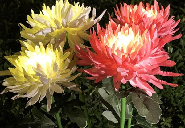 Solar Powered Flower Stake Light - Three Colours Available