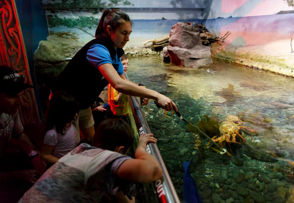 From $17 for One Child Entry or From $31 for One Adult Entry – Weekday or Weekend Options Available (value up to $39)