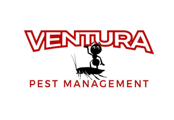 Pest Control Exterior Treatment for a Single Level Three-Bedroom Home - Options for up to Five-Bedroom, Interior Treatment & Caravans