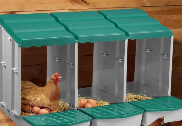 Three-Hole Chicken Nesting Box - Two Colours Available