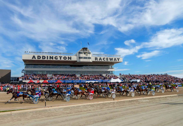 From $22 for a Ticket to NZ Trotting Cup Day at Addington Raceway on 8th November