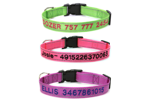 Personalised Embroidered Pet Collar - Four Sizes Available