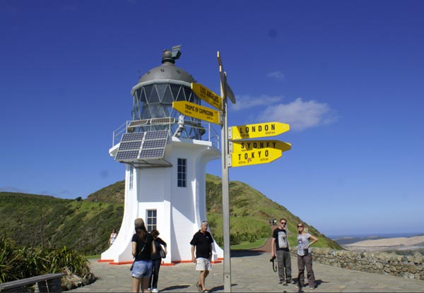 Dune Rider Full Day Tour to Cape Reinga via 90 Mile Beach incl. Lunch - Departing from Paihia or Kerikeri - Option for Two People & Family Pass