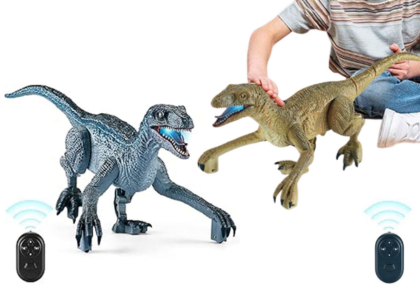 2.4G Remote Control Walking Roaring Dinosaur Toy - Available in Two Colours & Option for Two-Pack