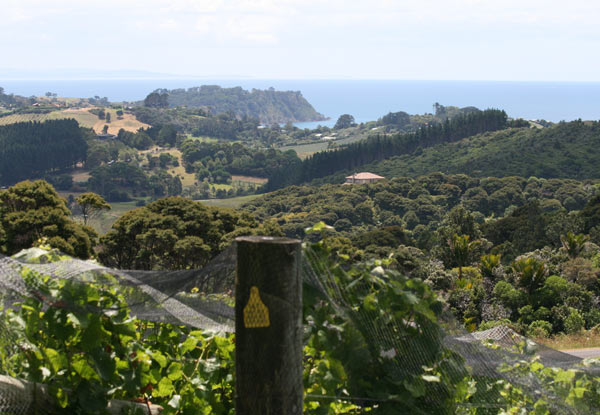 Scenic Return Flight to Waiheke Island, Premium Wine Tasting & Three-Course Lunch at Batch Winery - Options for Up to Three People with Deposit Option Available