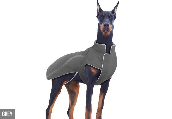 Autumn Dog Jacket - Four Colours & Sizes Available