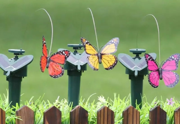 Garden Solar Butterfly - Option for Bird
