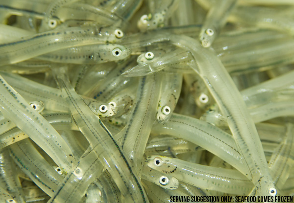 $20.50 for a 200gm Pot of NZ Whitebait – North Island Delivery