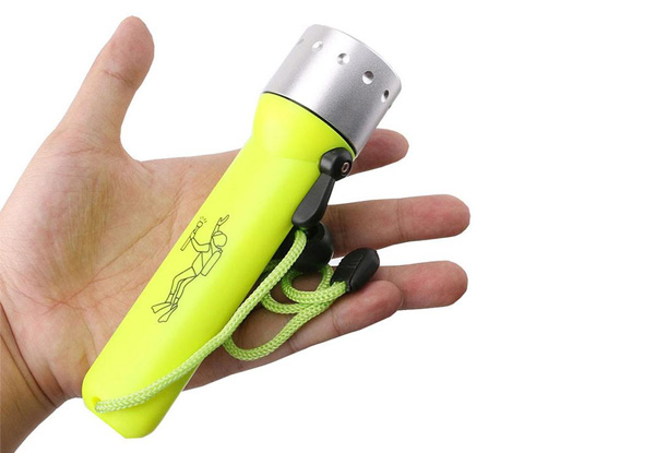 LED Diving Torch