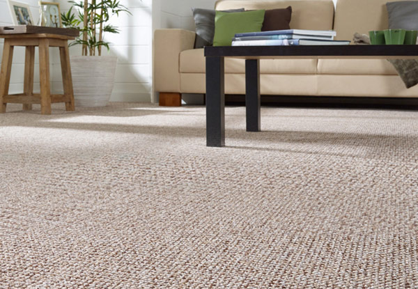 Home Carpet Cleaning incl. Lounge & Hallway