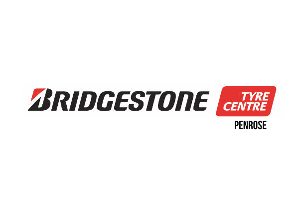 Standard Vehicle Service for Japanese Petrol Car at Bridgestone Tyre Centre Penrose - Option to incl. WOF