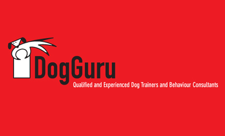 $59 for a Five-Week Beginners' Dog Training Course - Eight Locations Nationwide (value up to $169)
