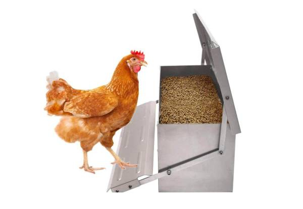 10kg Automatic Chicken Feeder