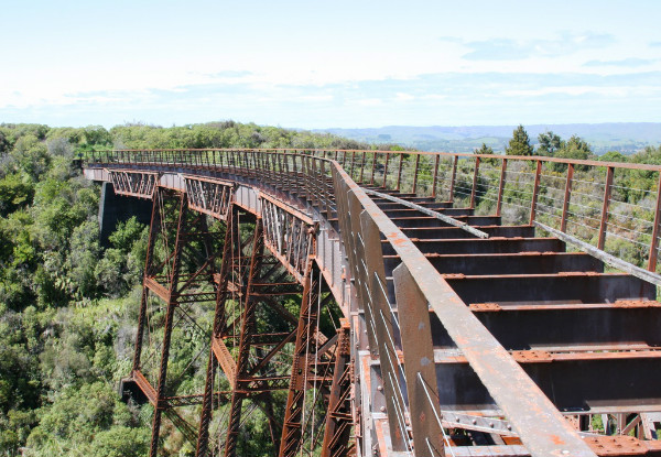 Two-Night Epic Ohakune Old Coach Road Bike or Walk Adventure for Two People in the Private or Ensuite Room incl. Transport, Bike Rental, Breakfast, Access to the Hot Tub & Sauna