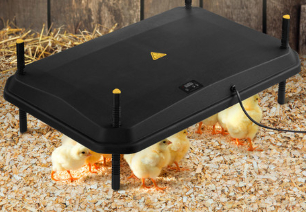 Chicken Brooder Heating Plate - Two Sizes Available