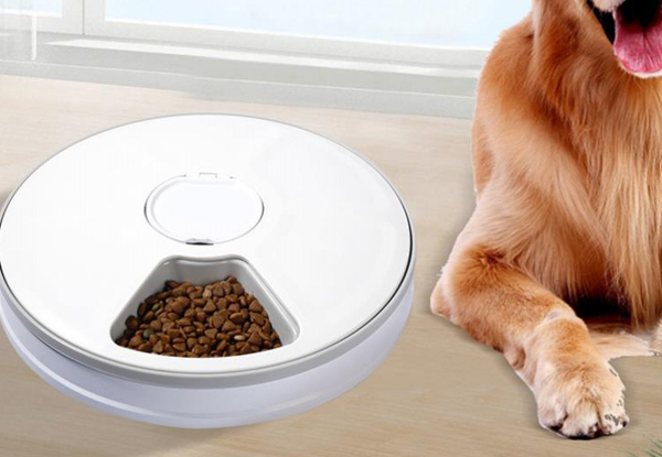 Automatic Pet Feeder with Timer