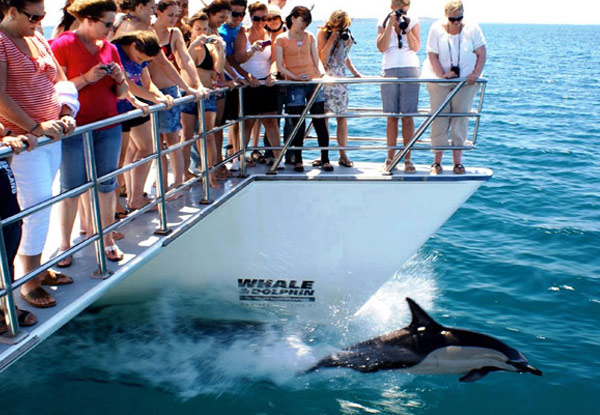 Adult Auckland Whale & Dolphin Safari Ticket for Two