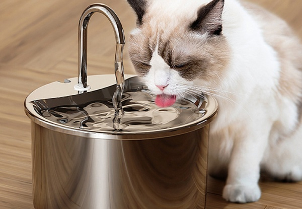 Stainless Steel Automatic Pet Water Dispenser