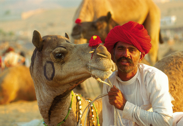 Per-Person Twin-Share 15-Day Heritage Tour of India incl. Transfers, English Speaking Guide, Boat Ride, Camel Cart Ride, Village Sightseeing, Cultural Show, Overnight Train & More