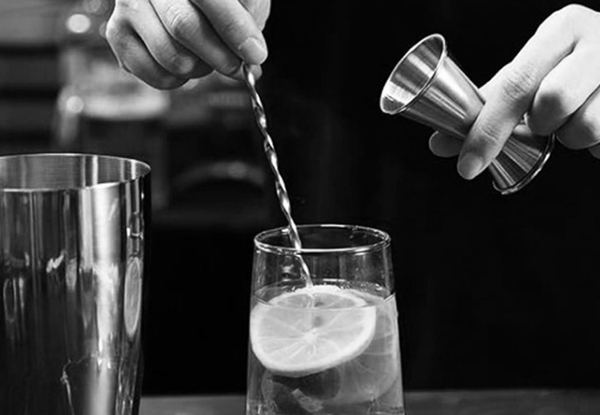 13-Piece Cocktail Shaker Set