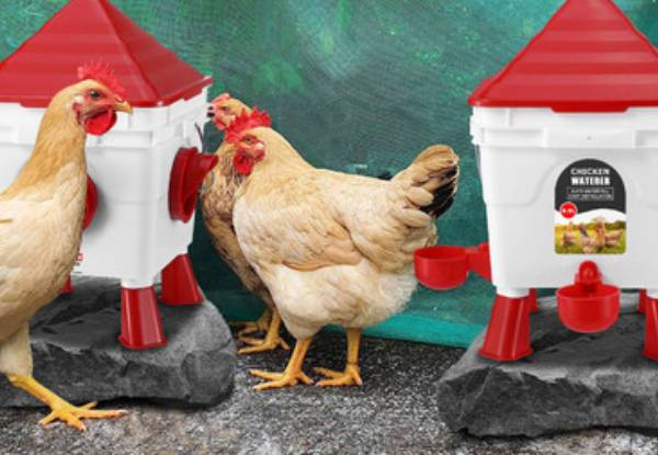 Automatic Chicken Water & Food Feeder Set - Two Sizes Available