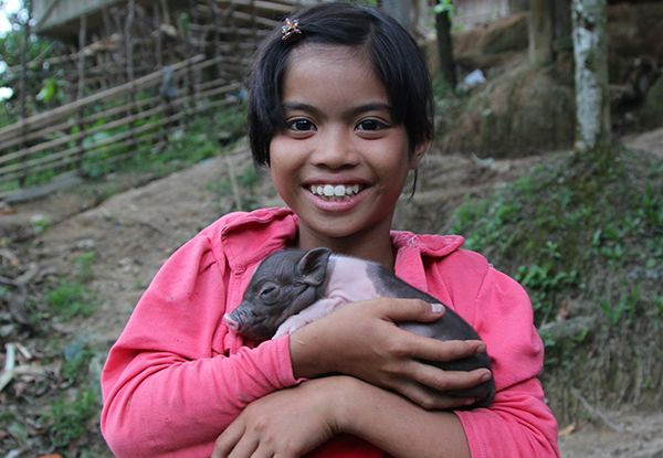 Gift a Pig with World Vision Smiles