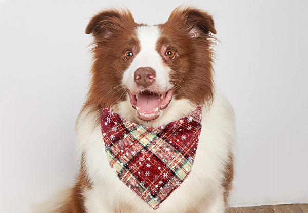 Two-Piece Christmas Snowflakes Pet Scarf Bandana Set - Available in Four Styles & Option for Four-Piece