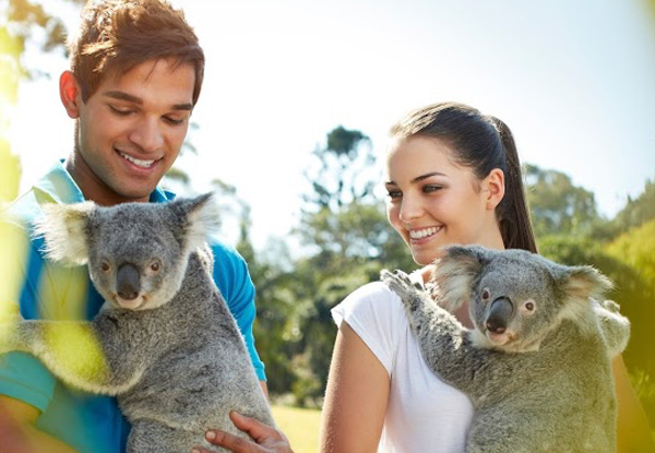 Per-Person Twin-Share, Eight-Night Fly/Stay/Cruise Great Barrier Reef Discovery incl. Return Airfares & One-Night Pre-Cruise Accomodation from Auckland to Brisbane & Onboard Meals & Entertainment