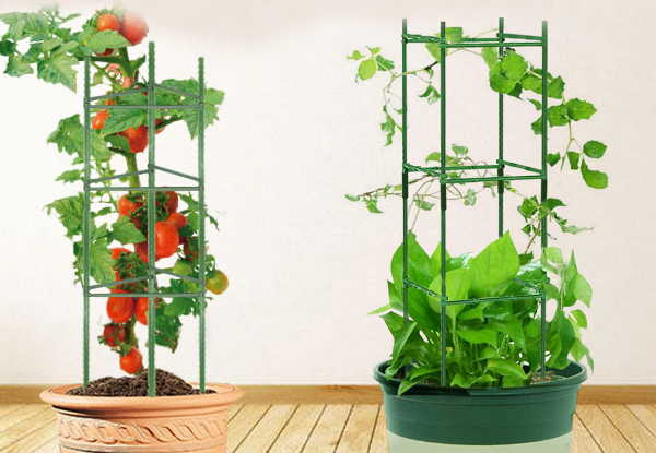 Plant Climbing Trellis Cage - Available in Two Options