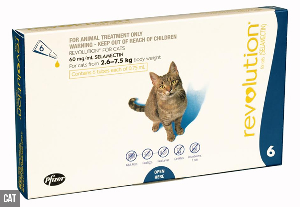 From $144 for a 15-Month Supply of Revolution Flea Treatments incl. Urban Delivery