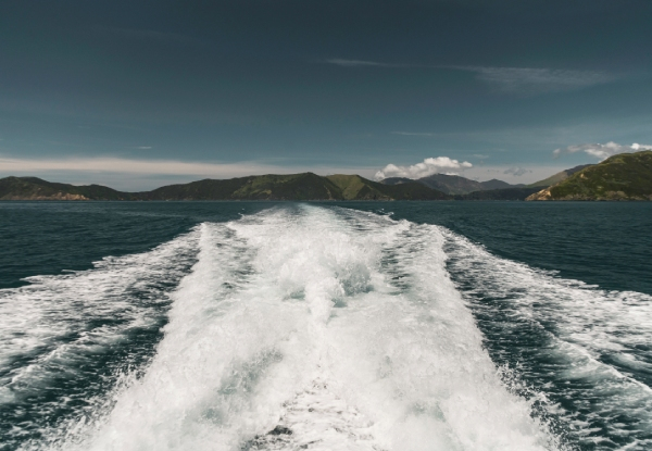 Pelorus Mail Boat Scenic Cruise Through the Marlborough Sounds - Option for Adult or Child