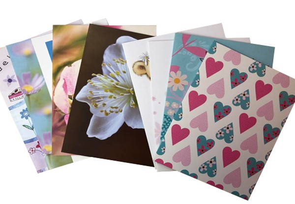 50-Pack All-Occasion Greeting Card Set