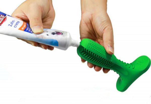 Pet Toothbrush Chew Toy - Two Sizes Available
